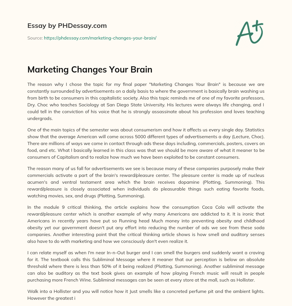 Marketing Changes Your Brain essay