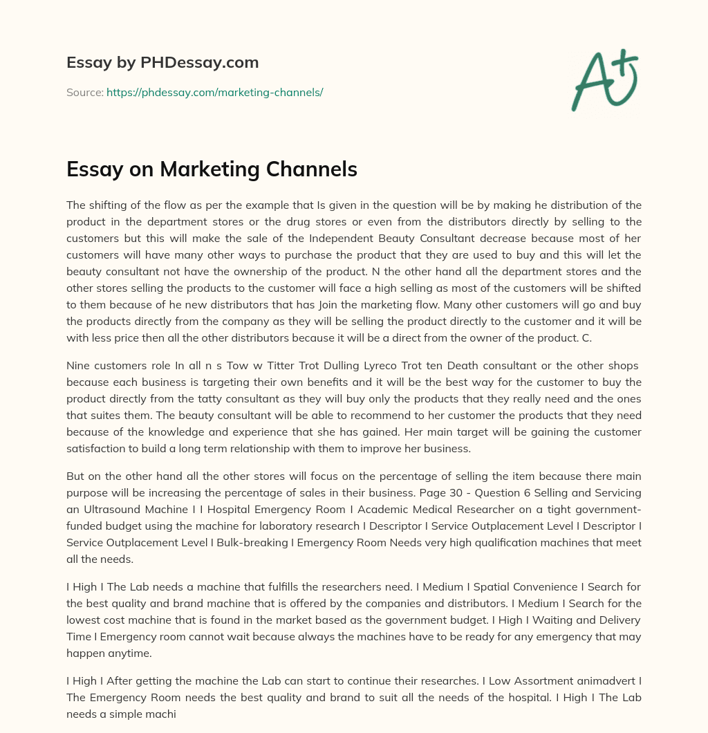Essay on Marketing Channels essay