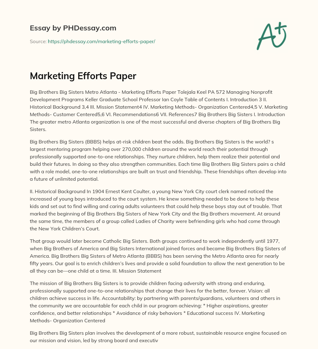 Marketing Efforts Paper essay