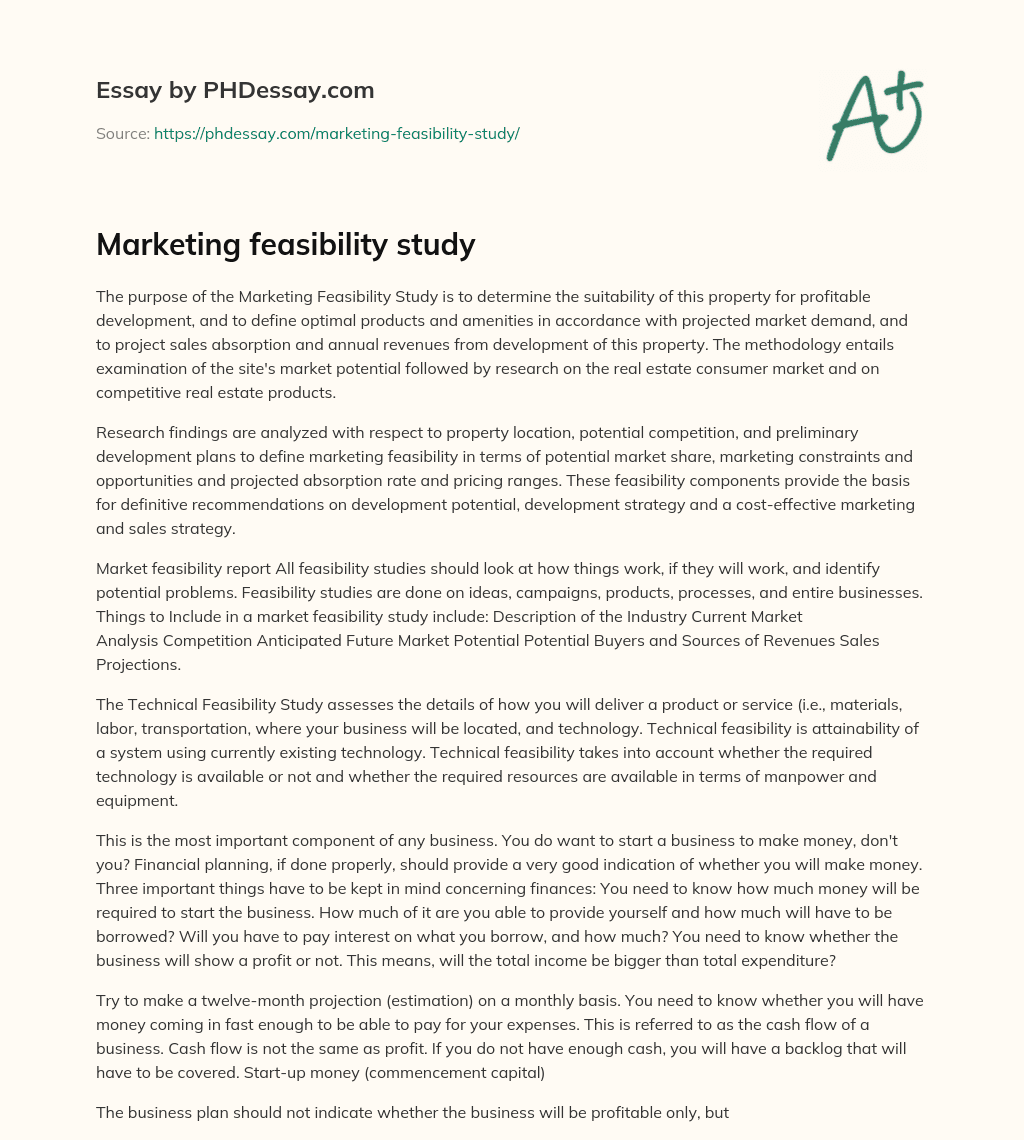 Marketing feasibility study essay
