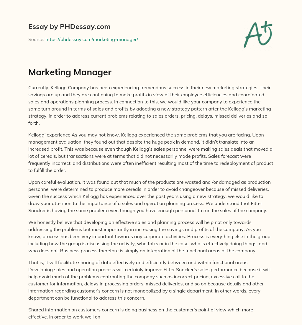 Marketing Manager essay