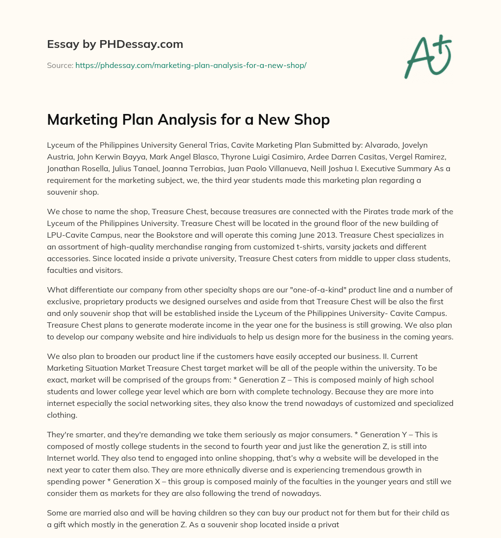 Marketing Plan Analysis for a New Shop essay