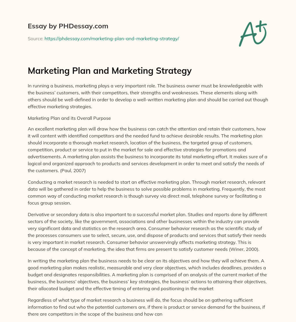 Marketing Plan and Marketing Strategy essay