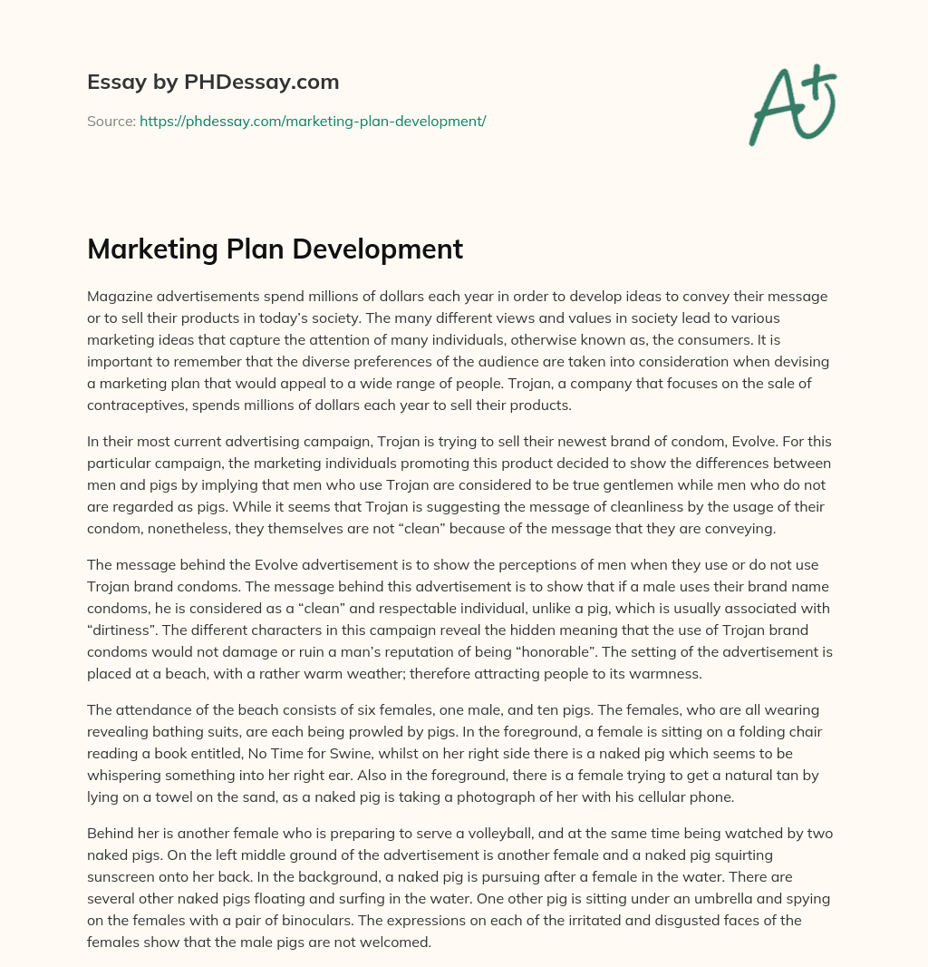 Marketing Plan Development essay