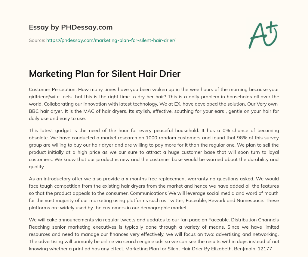 Marketing Plan for Silent Hair Drier essay