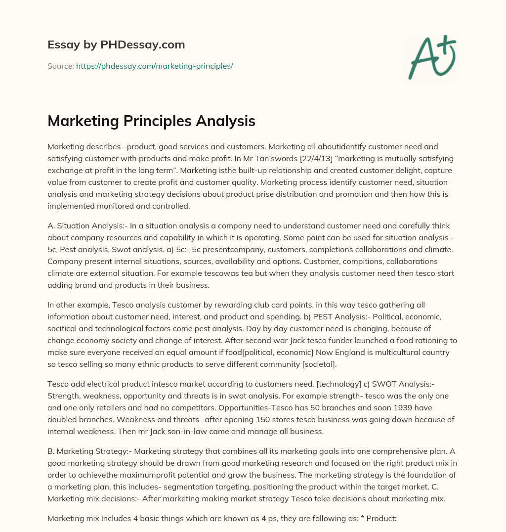 Marketing Principles Analysis essay