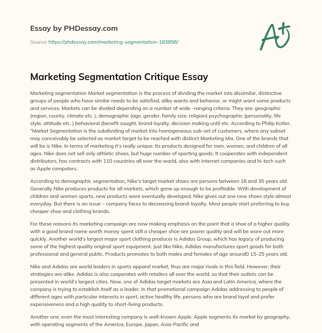 Marketing Segmentation Critique Essay essay