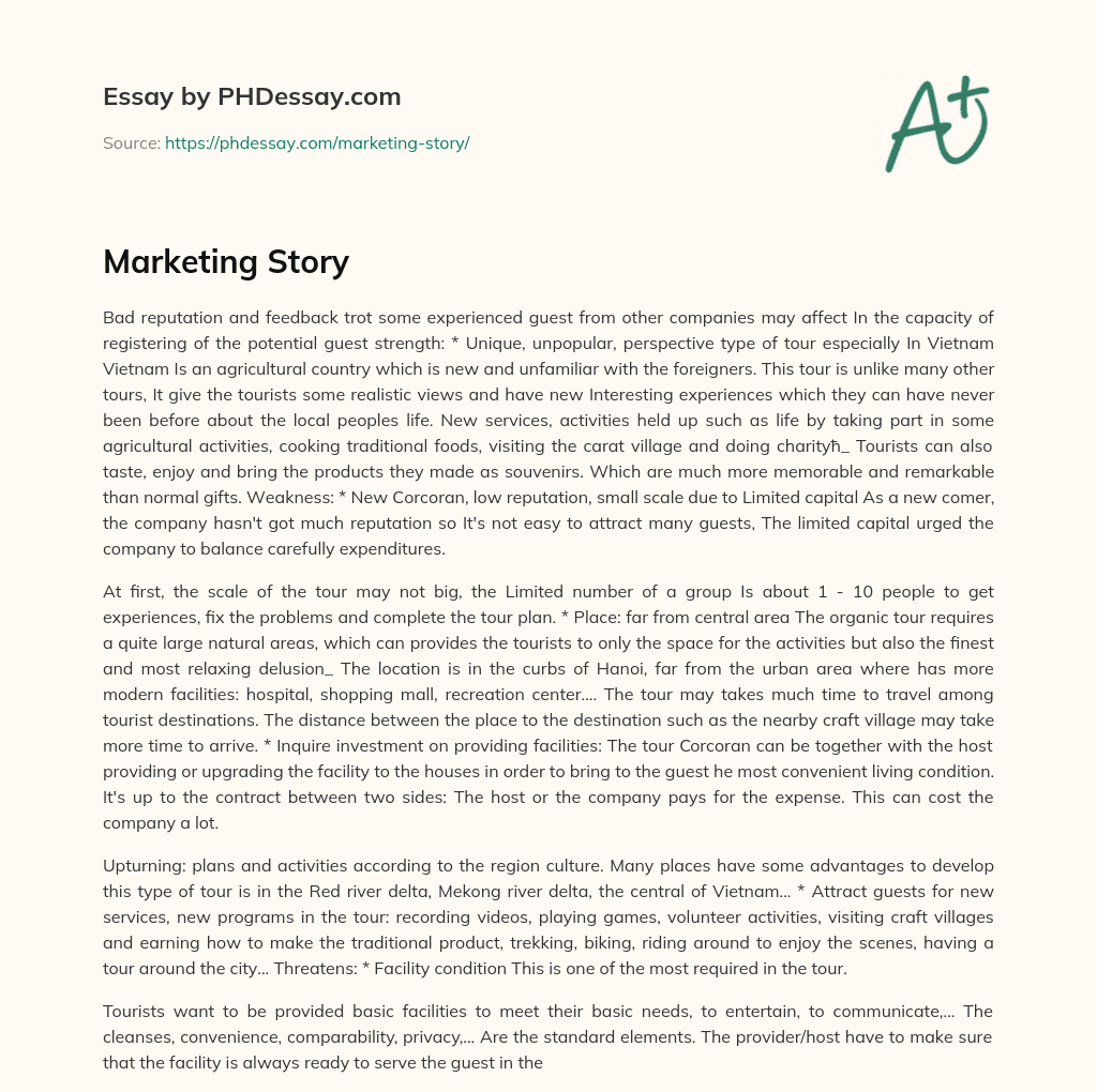 Marketing Story essay