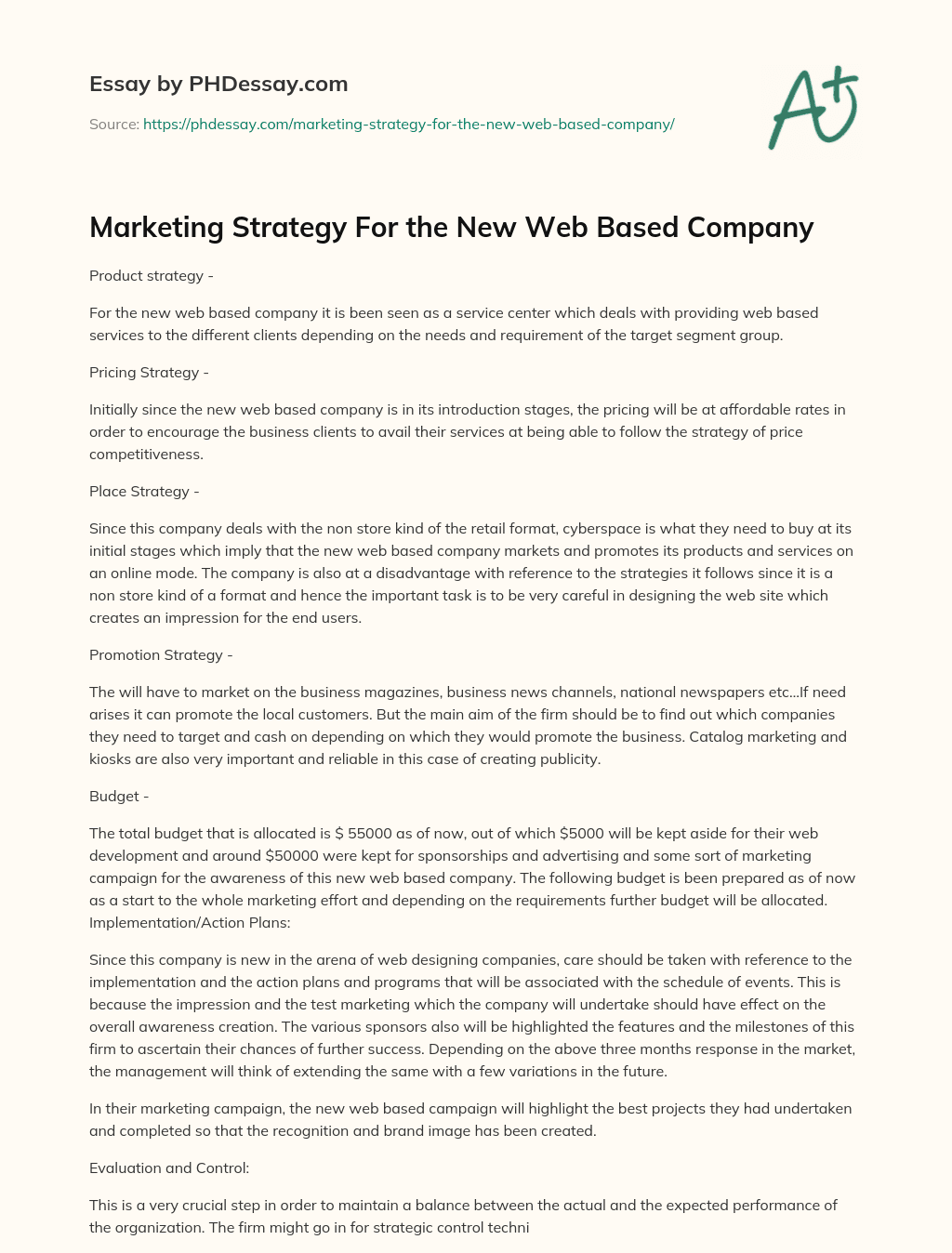Marketing Strategy For the New Web Based Company essay