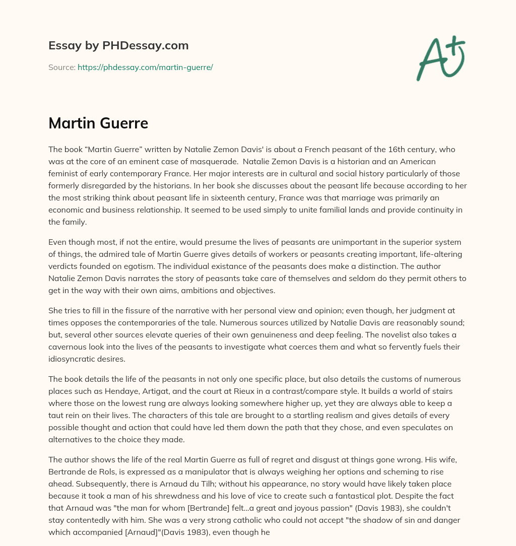 Martin Guerre essay