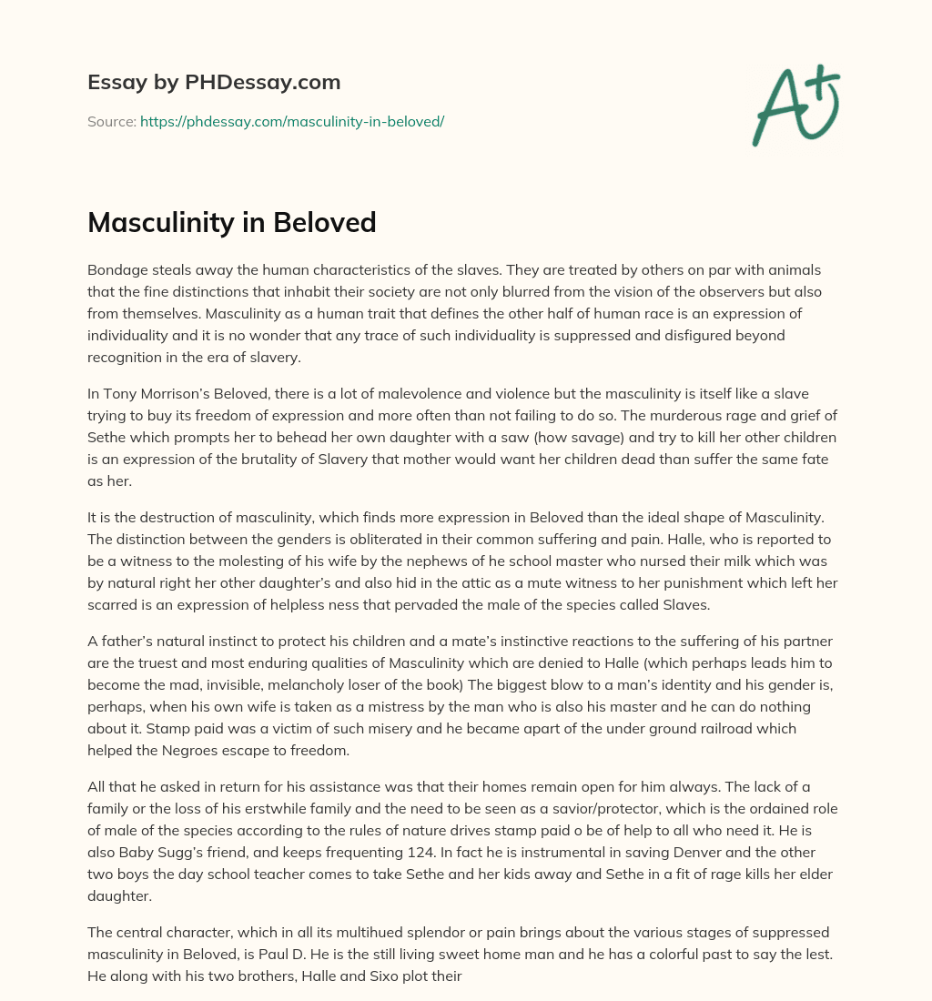 Masculinity in Beloved essay