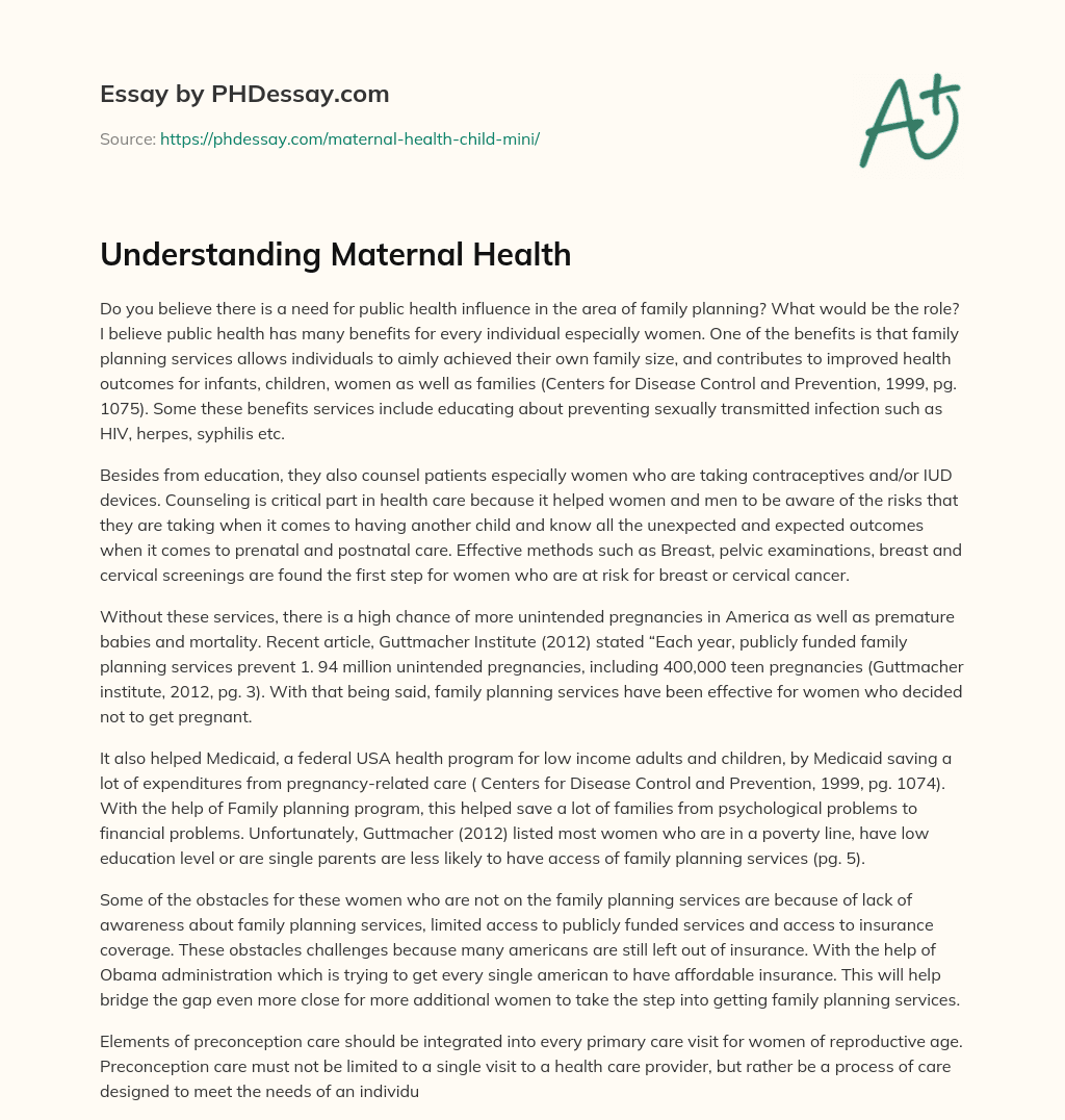 Understanding Maternal Health essay