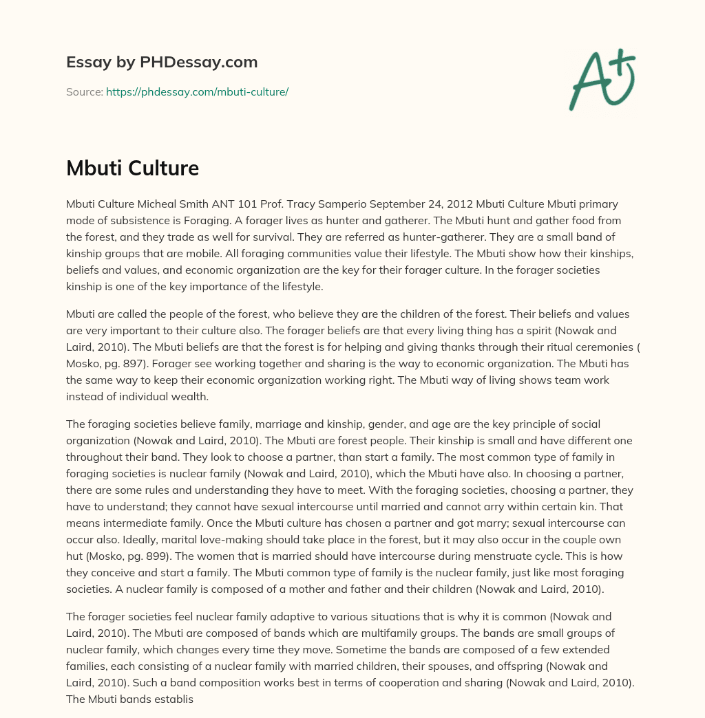 Mbuti Culture essay