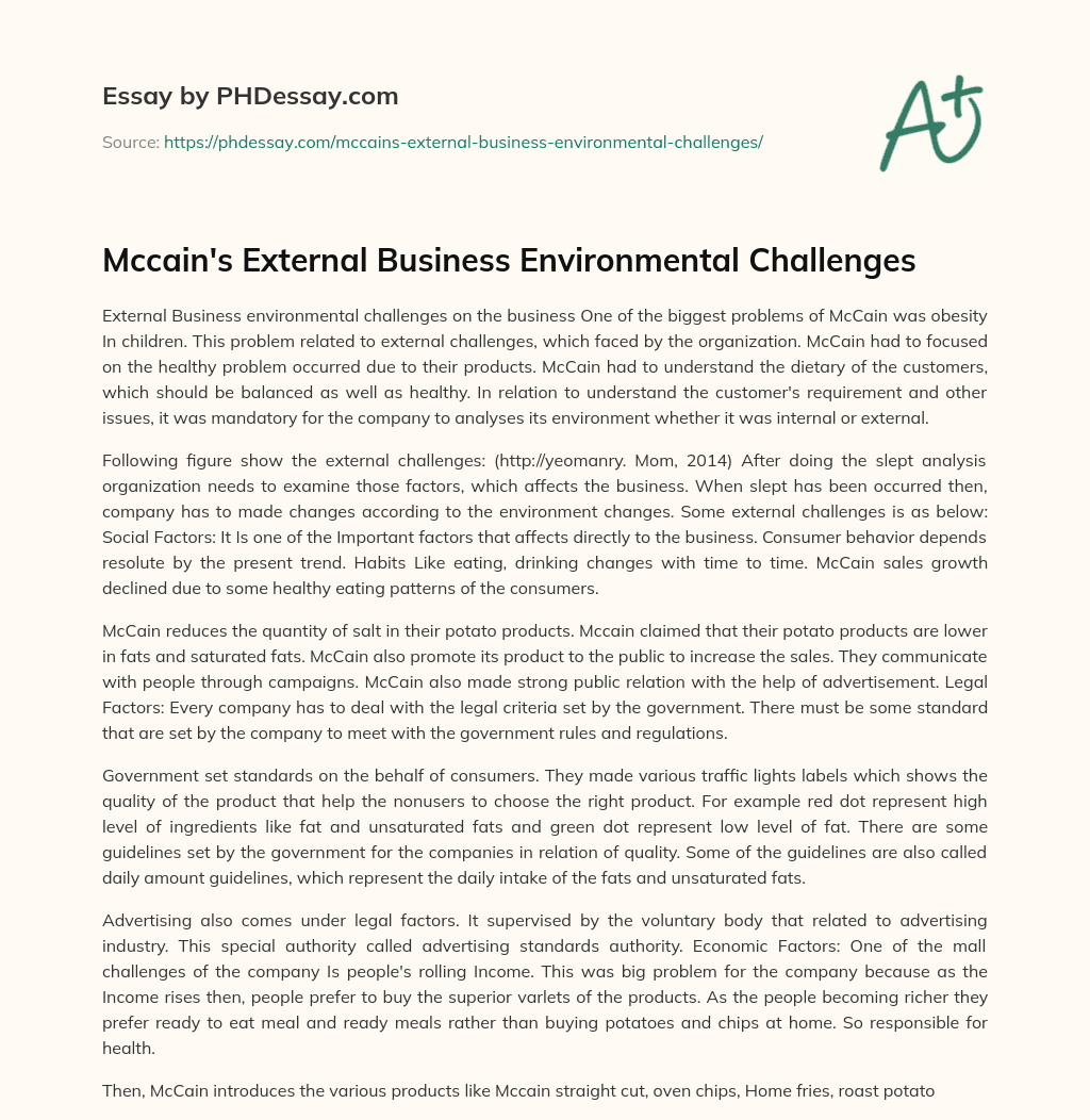 Mccain’s External Business Environmental Challenges essay