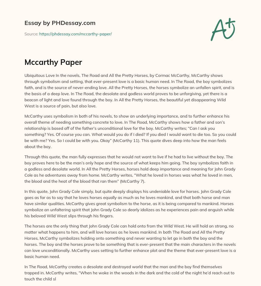 Mccarthy Paper essay