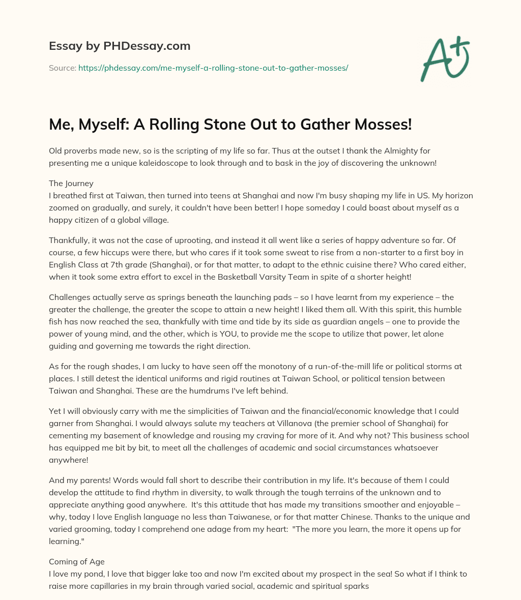 Me, Myself: A Rolling Stone Out to Gather Mosses! essay