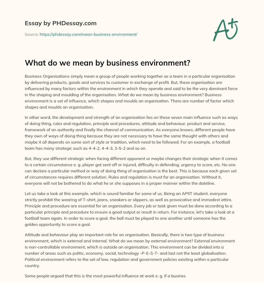 What do we mean by business environment? essay