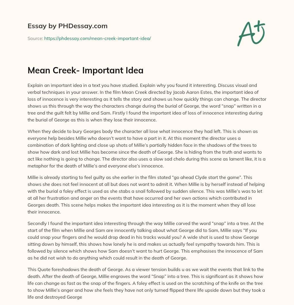 Mean Creek- Important Idea essay