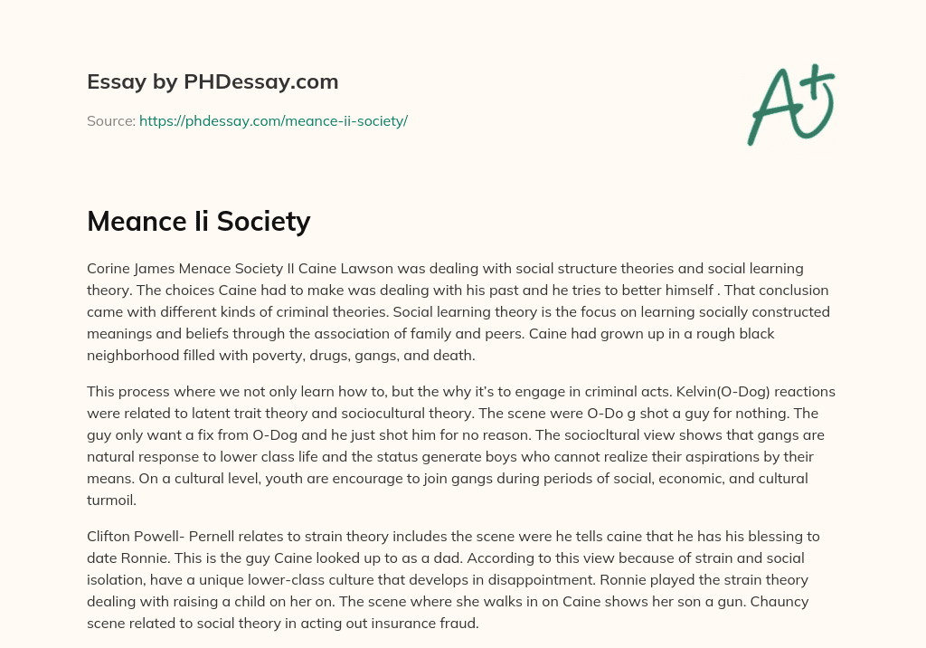 Meance Ii Society essay