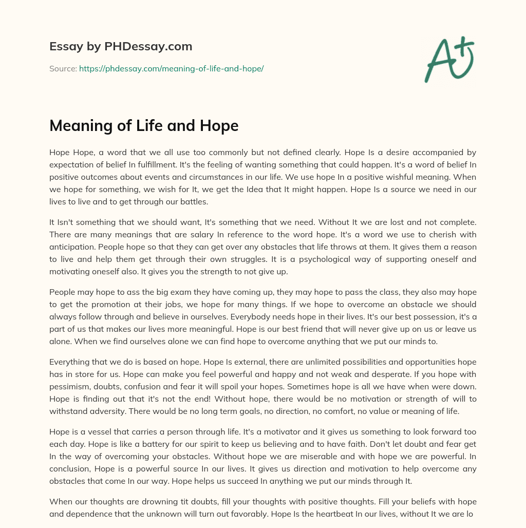 Meaning of Life and Hope essay
