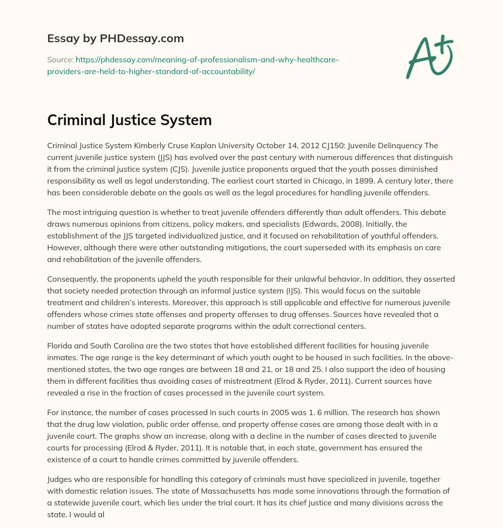 Criminal Justice System essay