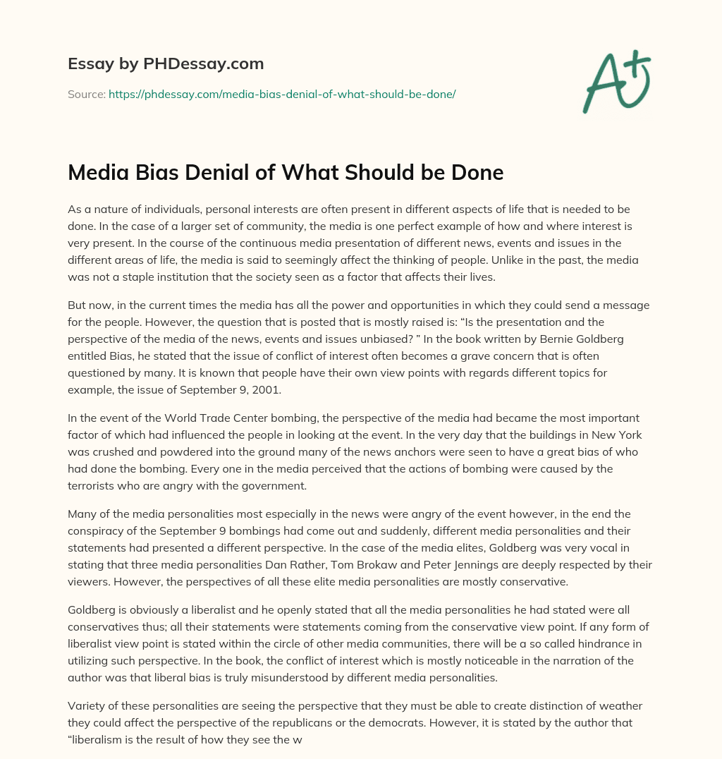 Media Bias Denial of What Should be Done essay