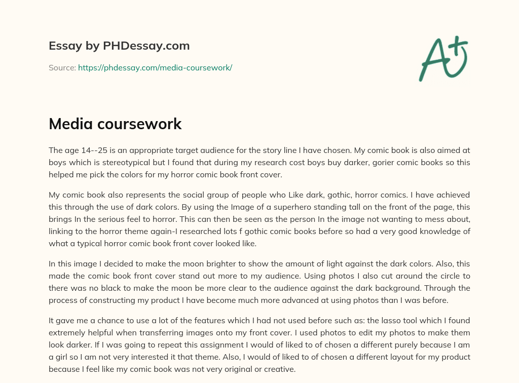 Media coursework essay