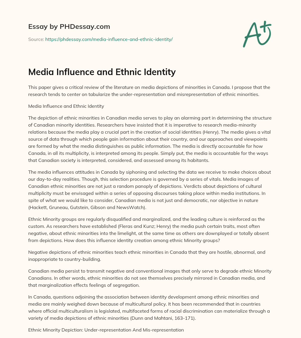 Media Influence and Ethnic Identity essay
