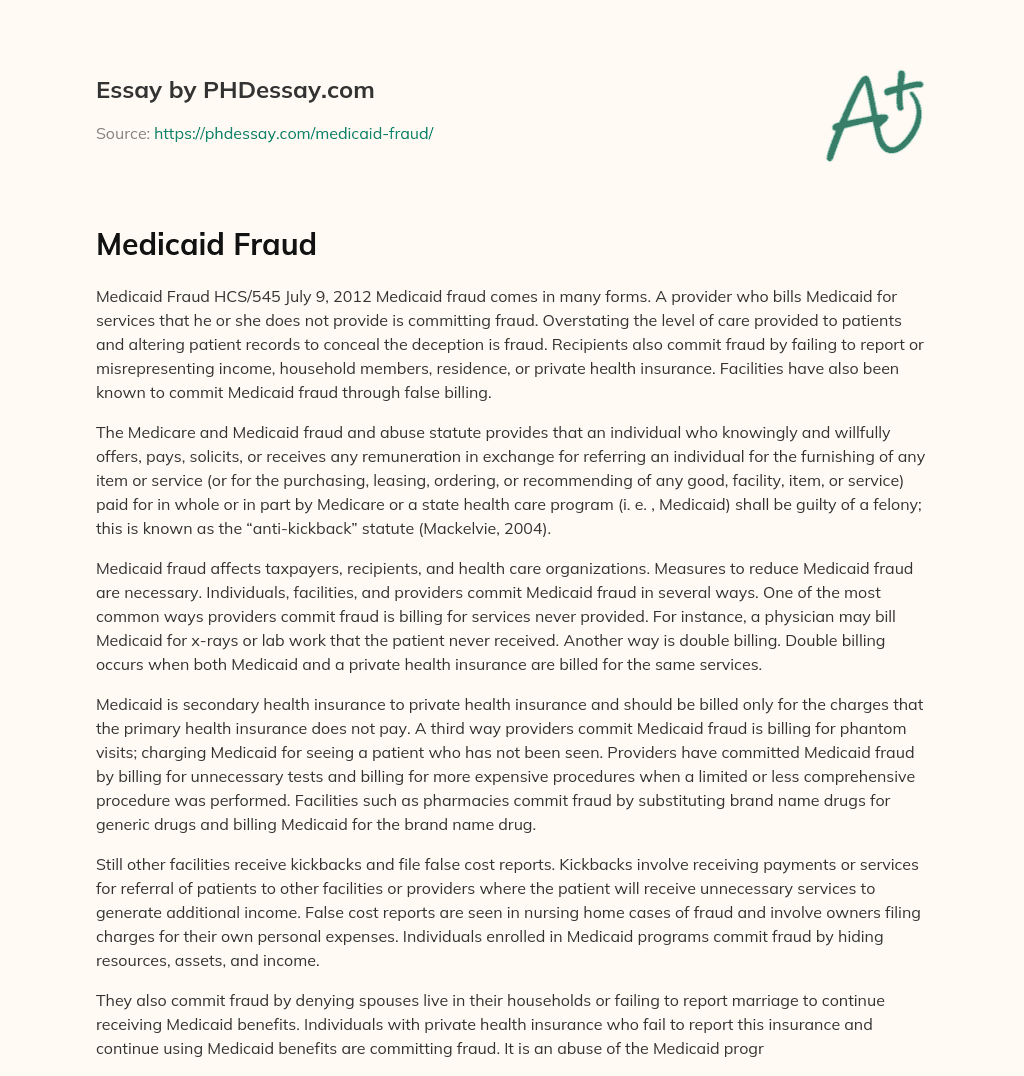 Medicaid Fraud essay