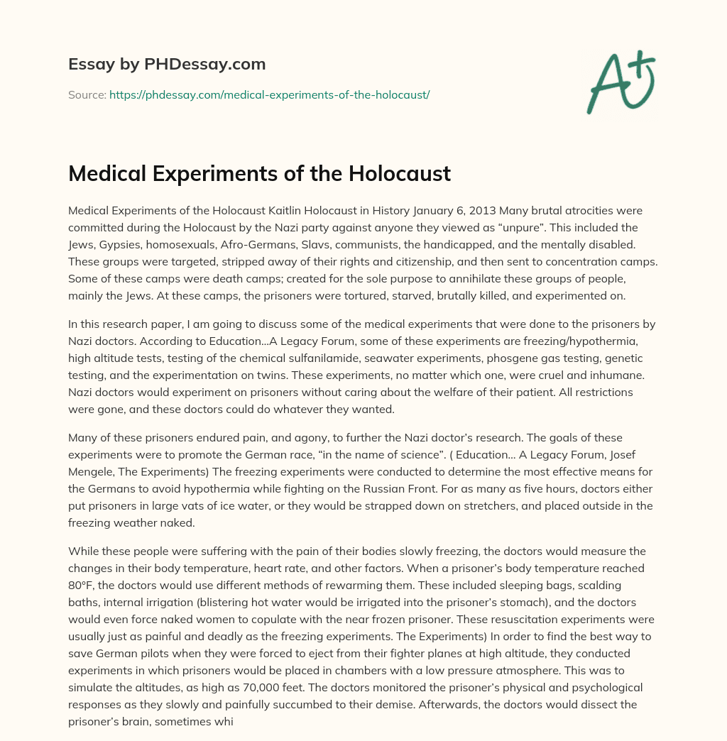 Medical Experiments of the Holocaust essay
