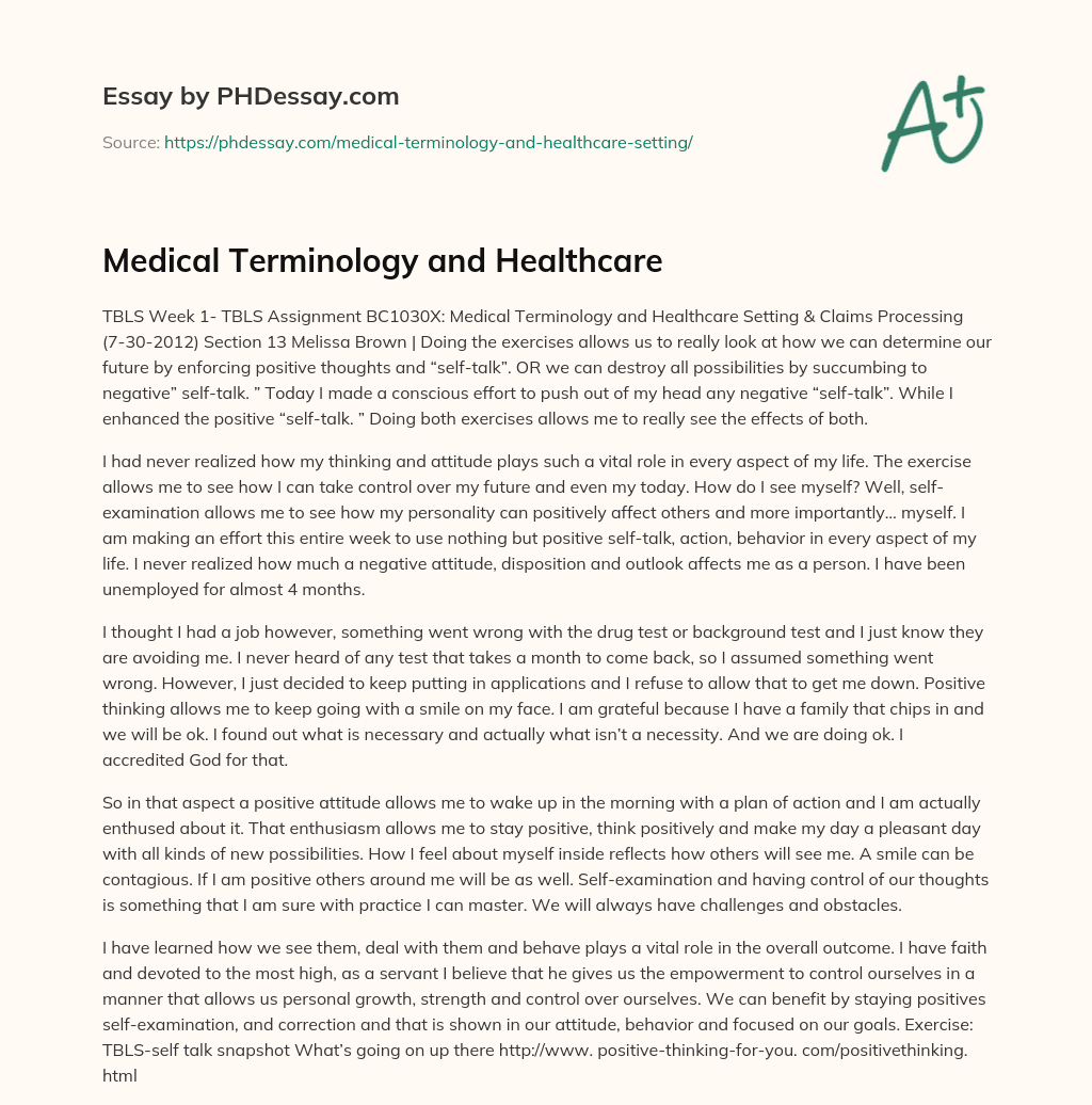 essay on medical healthcare