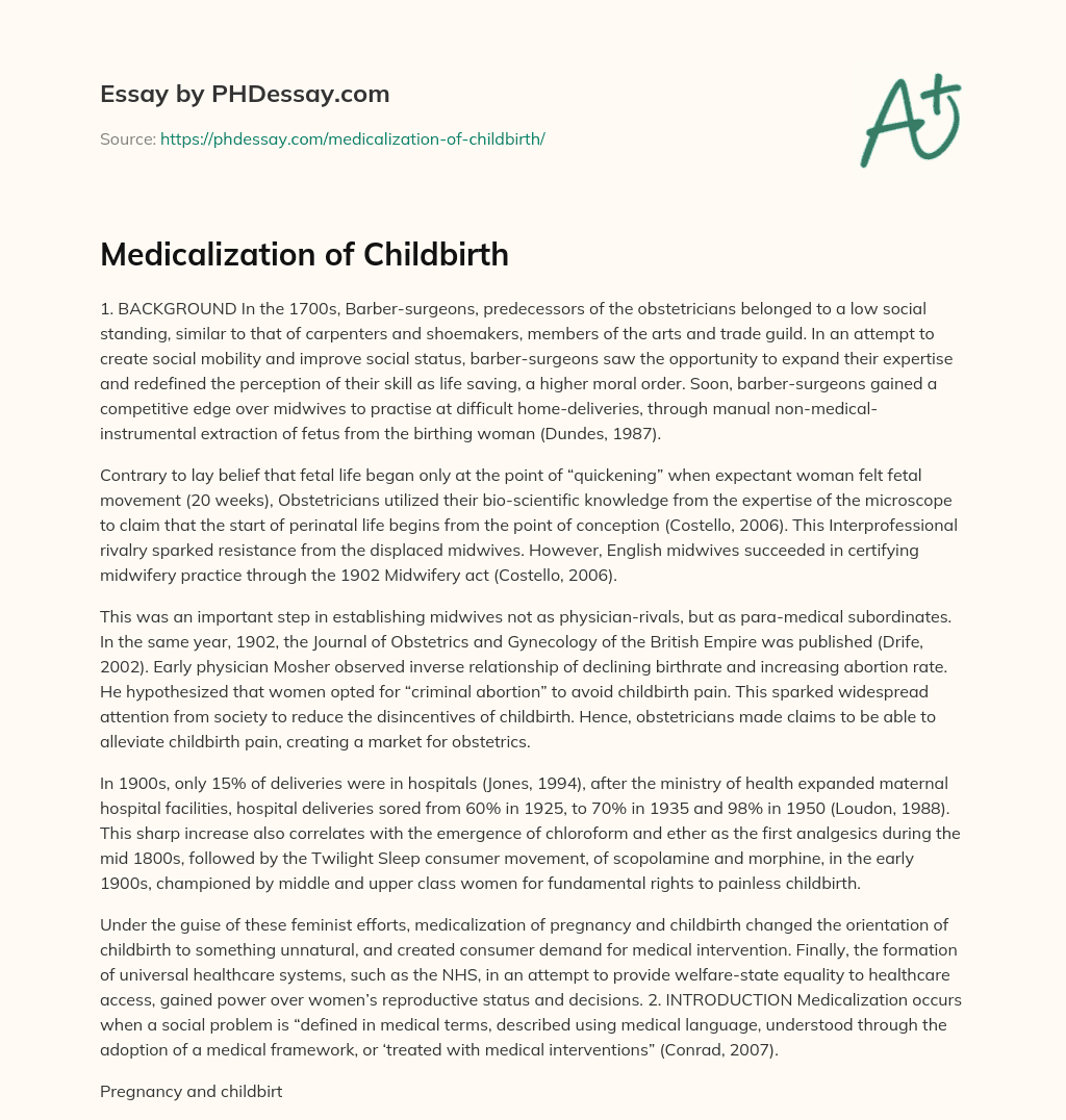 Medicalization of Childbirth essay
