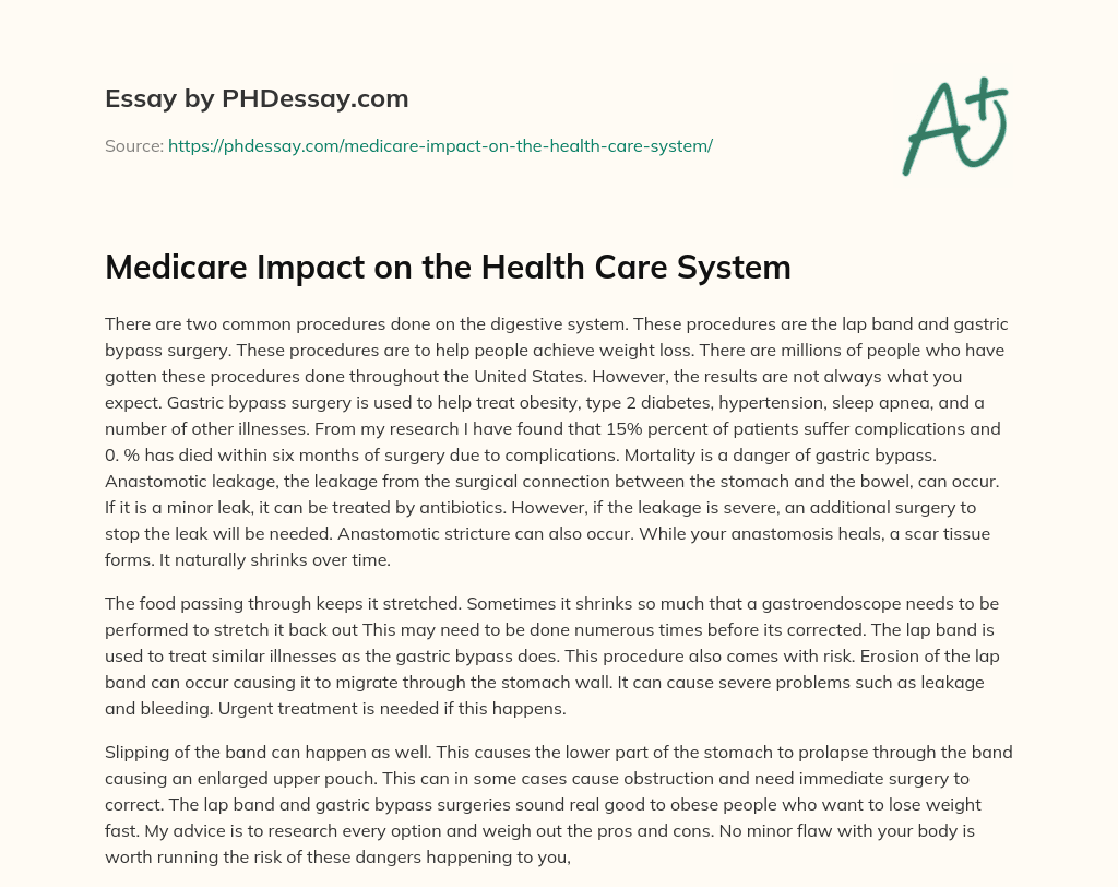 Medicare Impact on the Health Care System essay