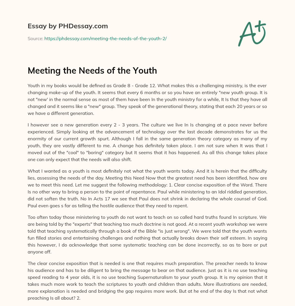 Meeting the Needs of the Youth essay
