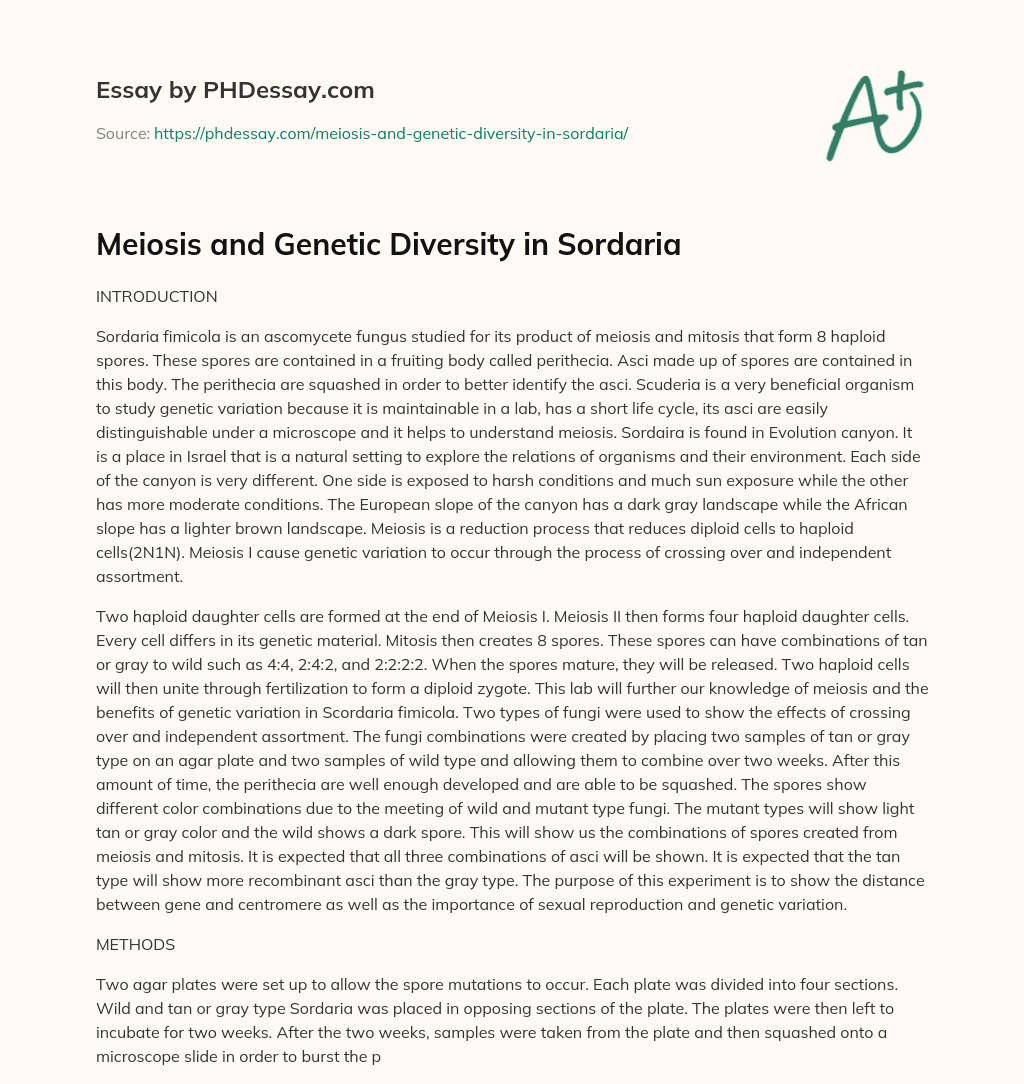 Meiosis and Genetic Diversity in Sordaria essay