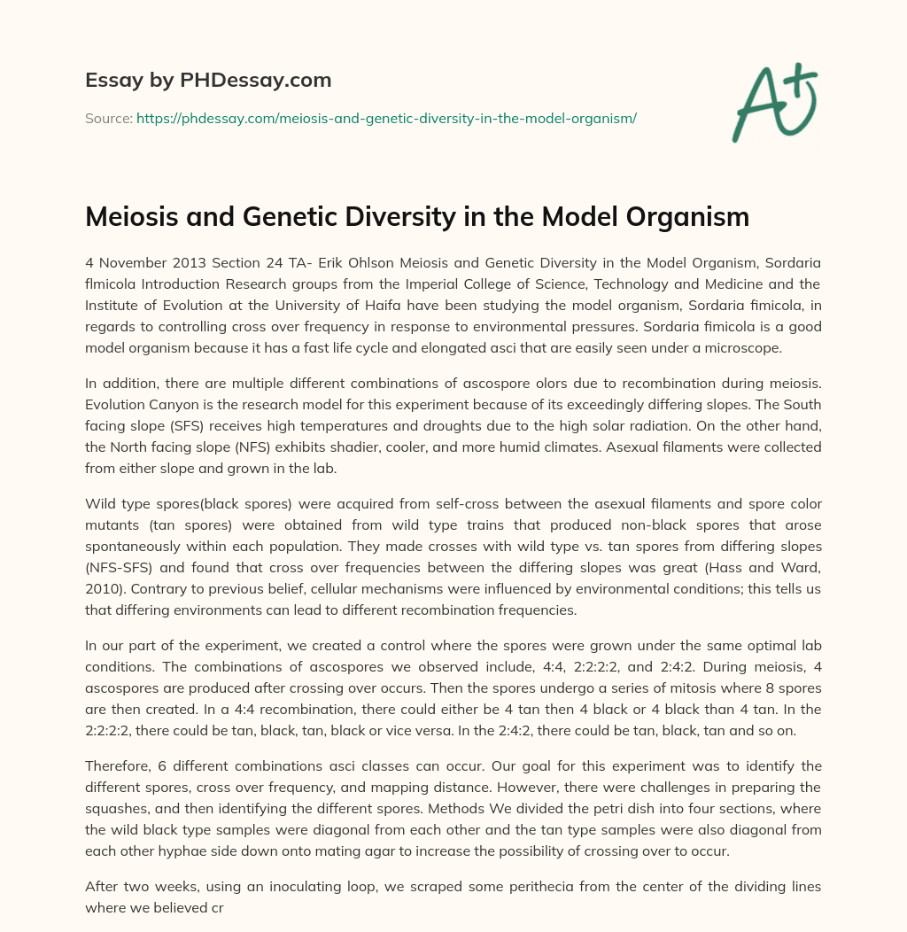 Meiosis and Genetic Diversity in the Model Organism essay