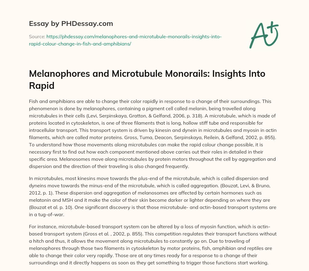 Melanophores and Microtubule Monorails: Insights Into Rapid essay
