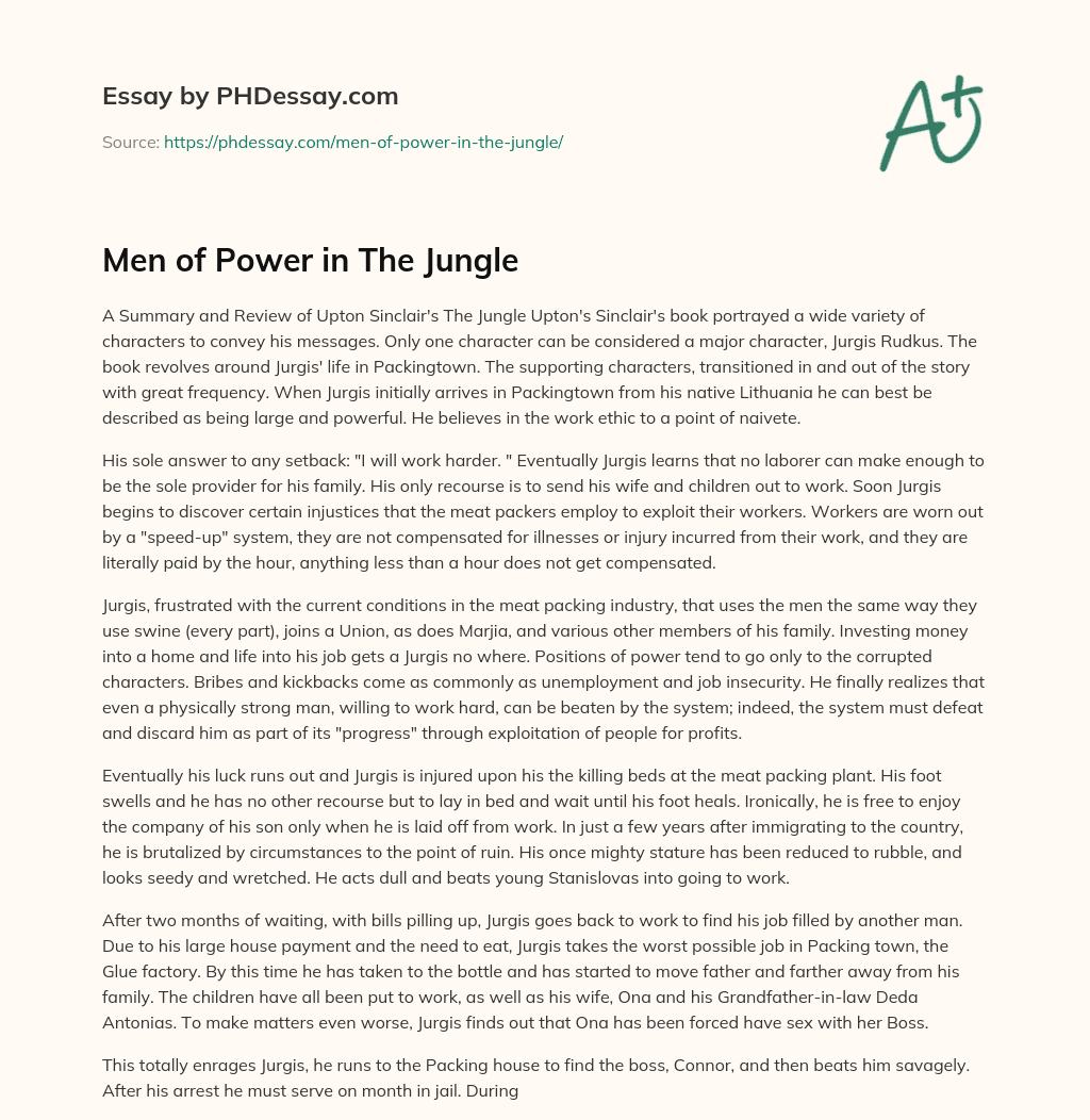Men of Power in The Jungle essay