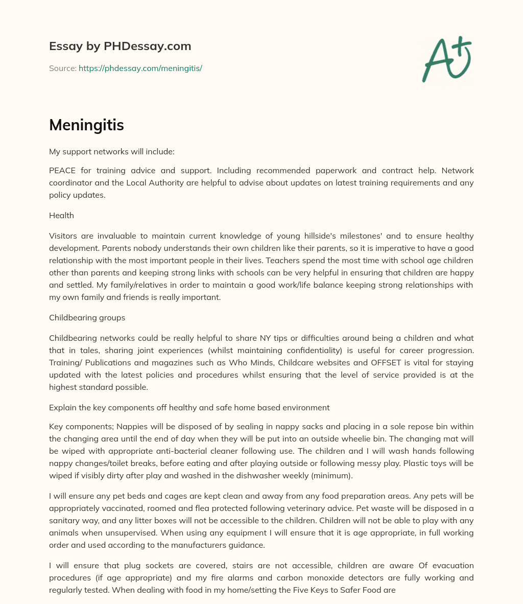 Support Networks for Peaceful Child Development essay