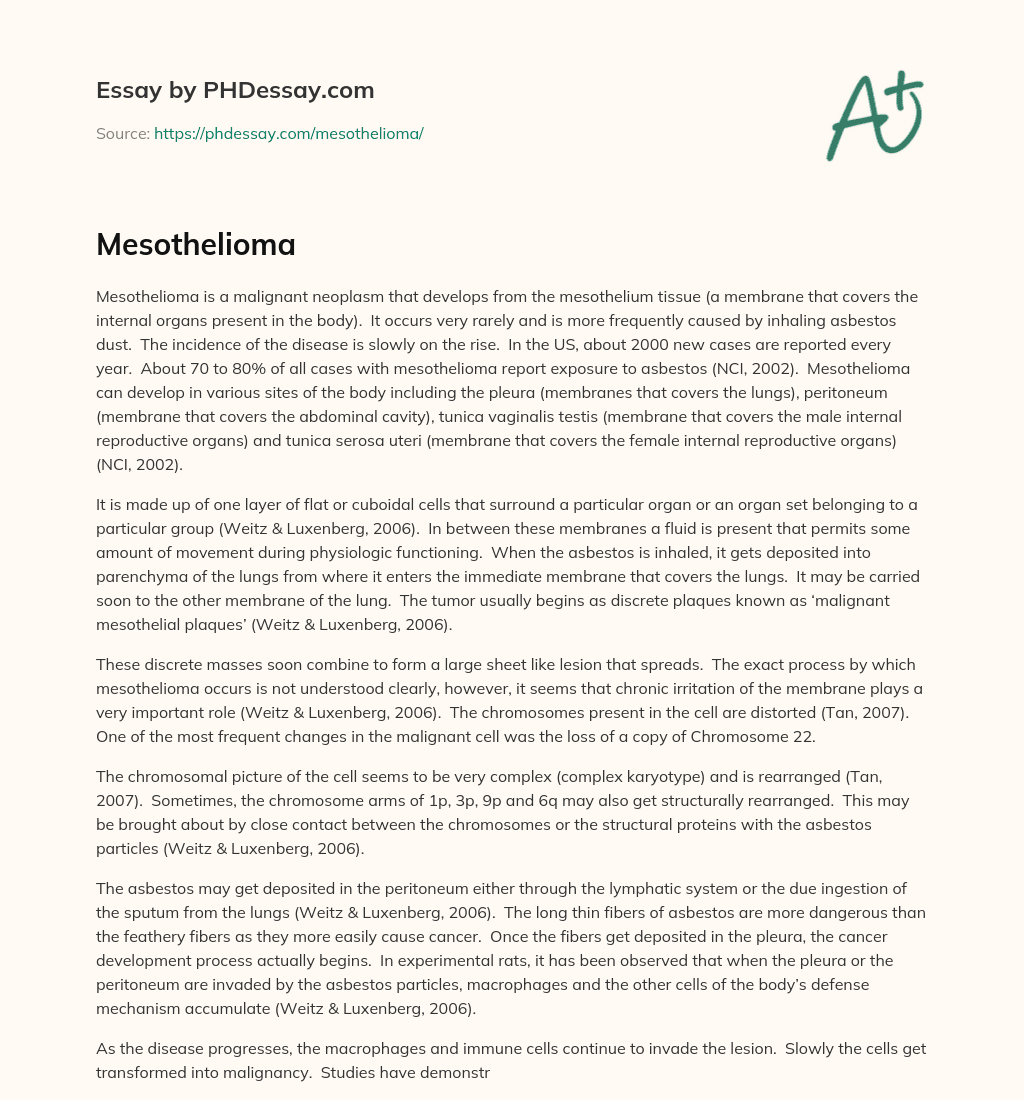 Mesothelioma: A Rare Cancer Linked to Asbestos Exposure essay
