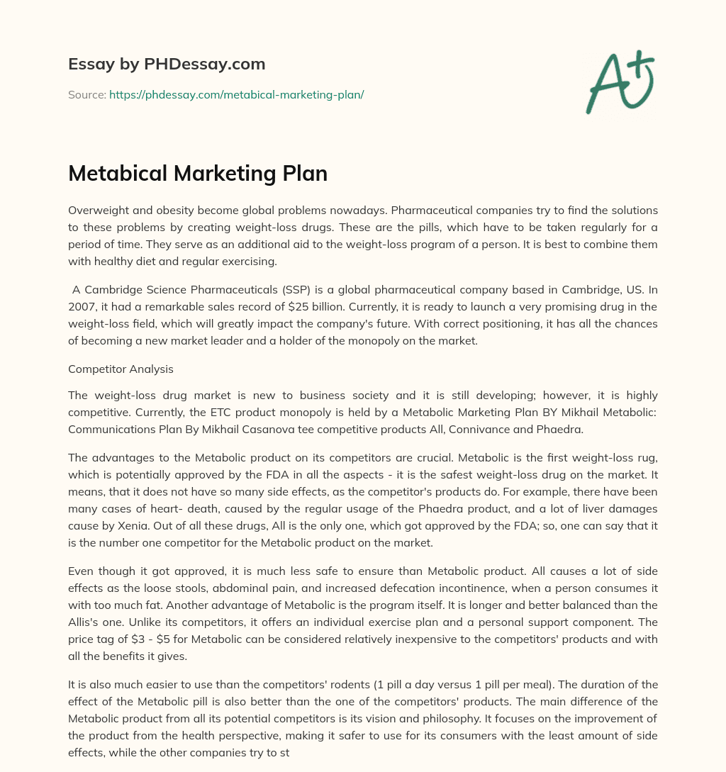 Metabical Marketing Plan essay