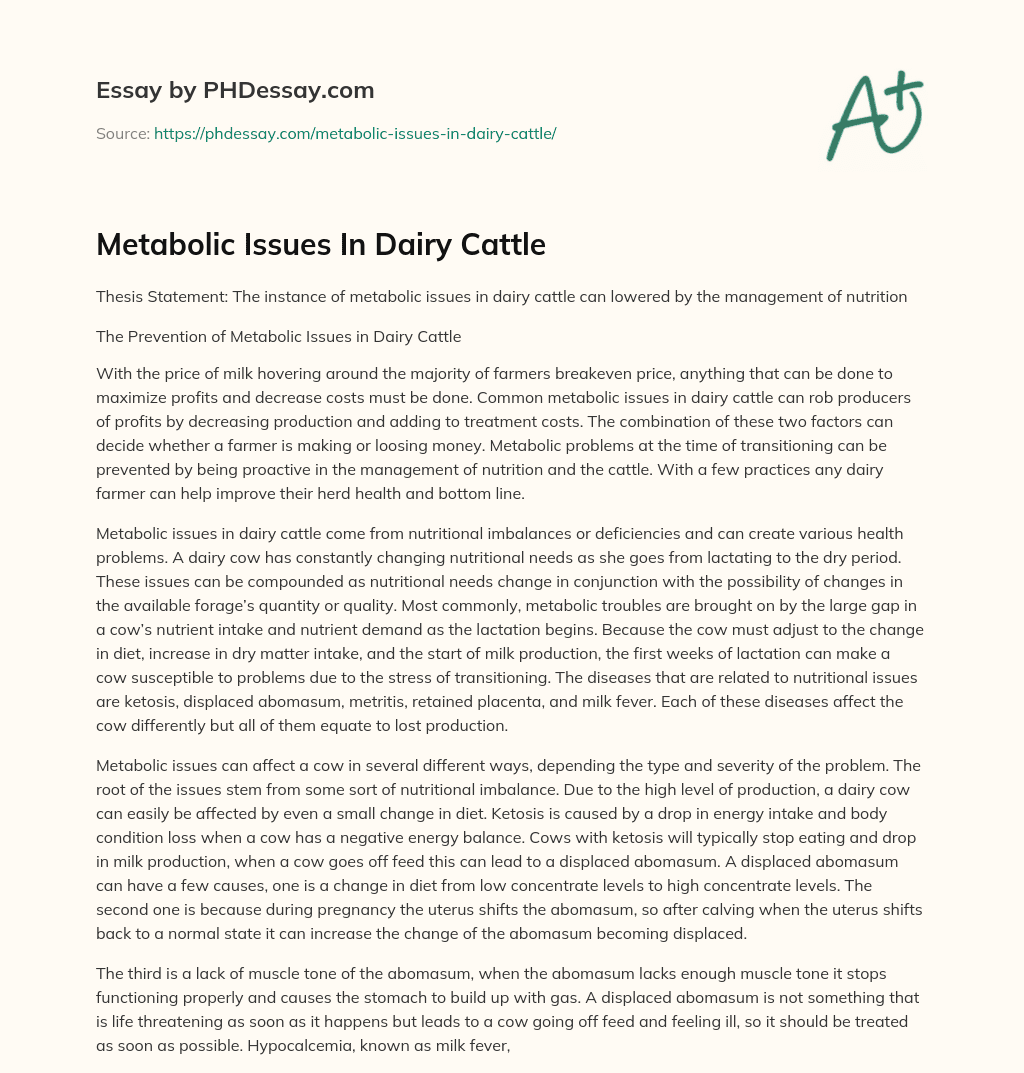 Metabolic Issues In Dairy Cattle essay