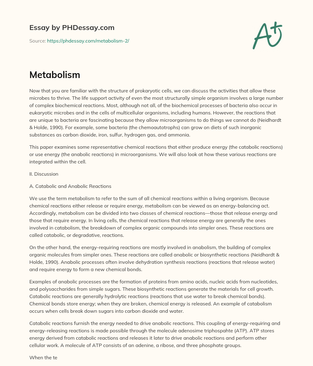Understanding the Metabolism of Prokaryotic Cells: Examining Catabolic and Anabolic Reactions. essay