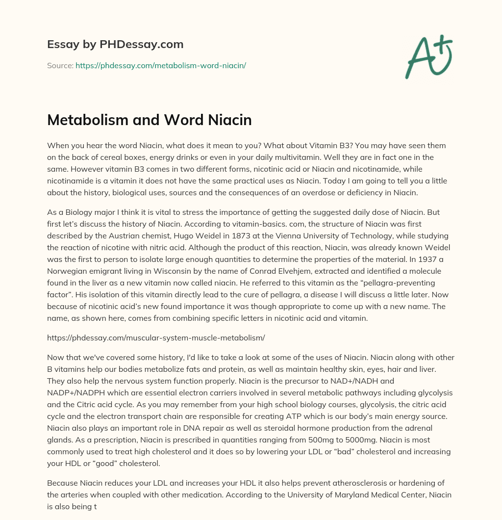 Metabolism and Word Niacin essay