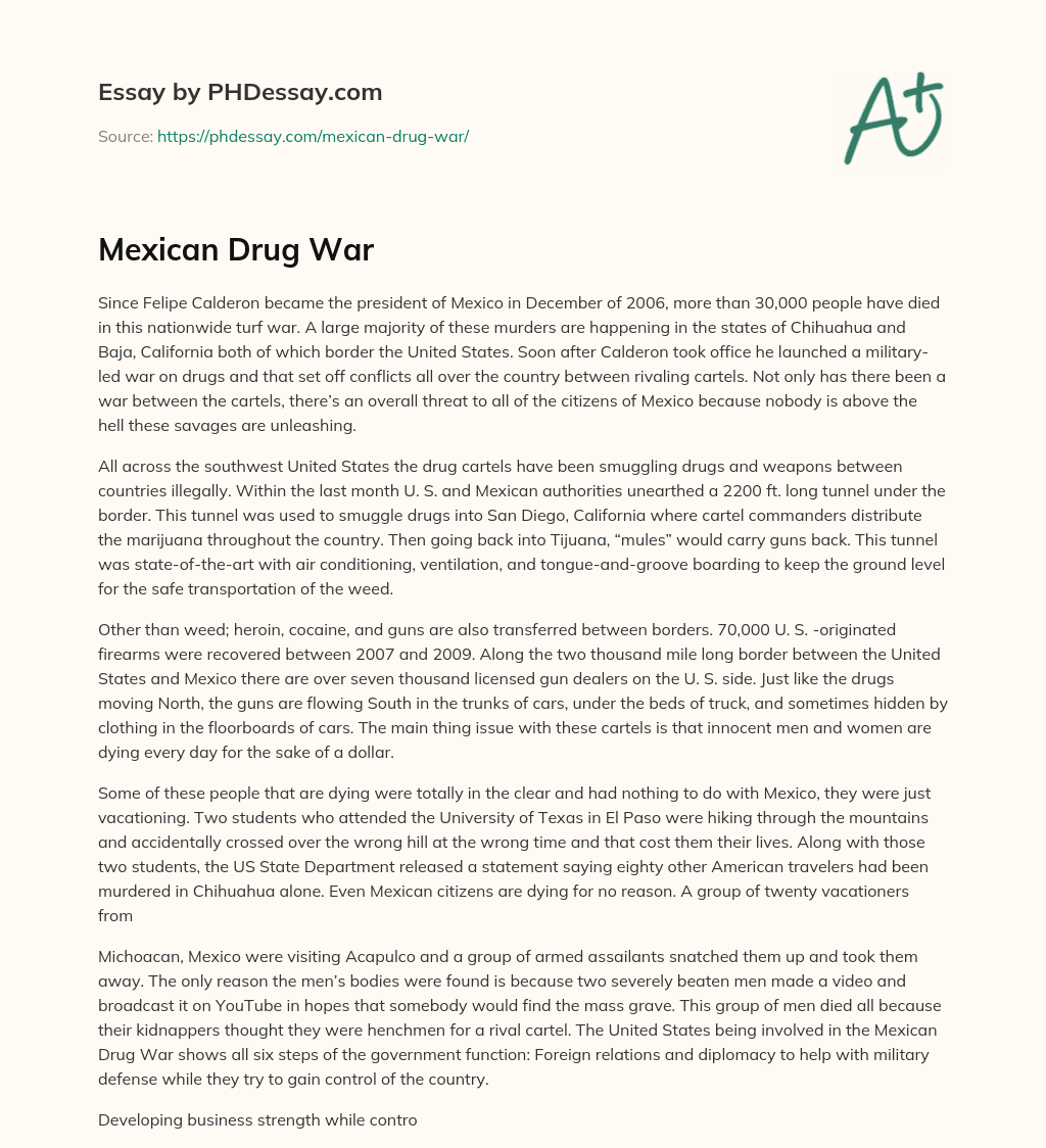 Mexican Drug War essay