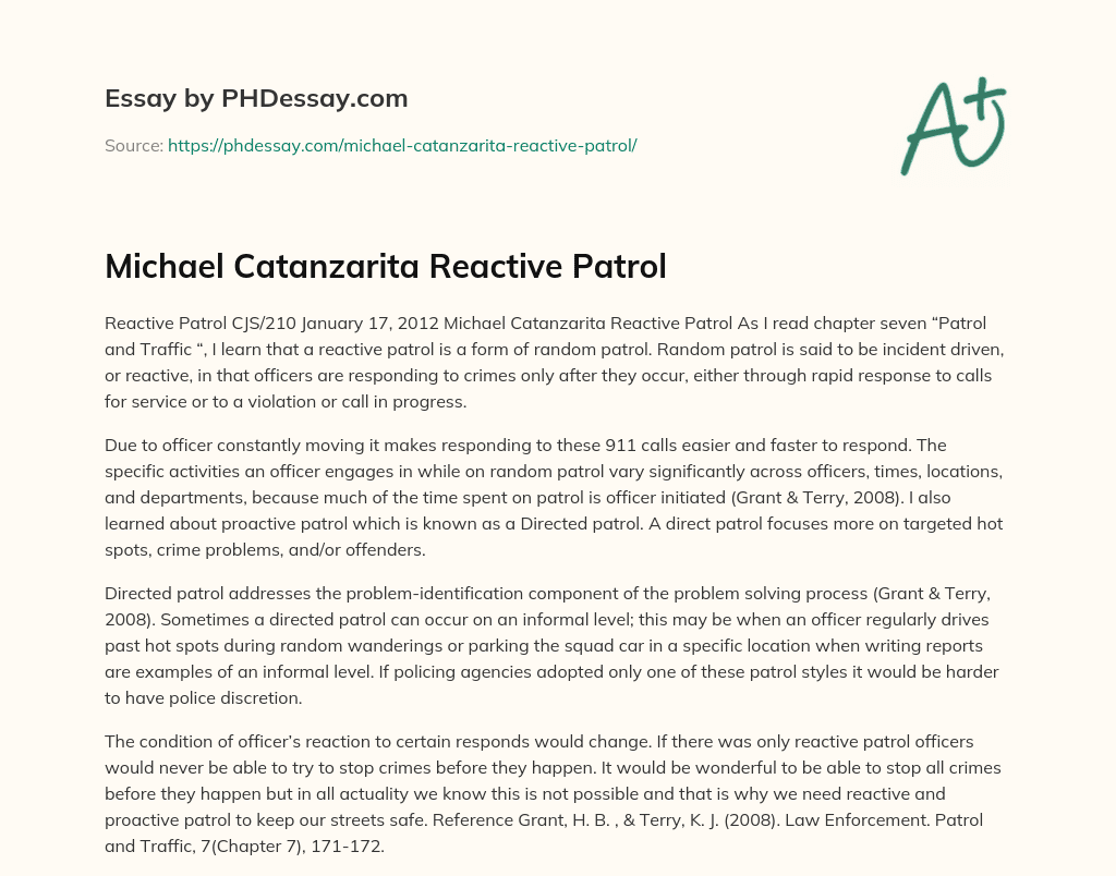 Michael Catanzarita Reactive Patrol essay