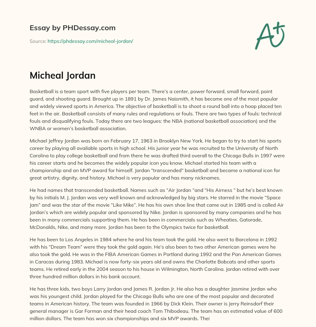 Micheal Jordan essay