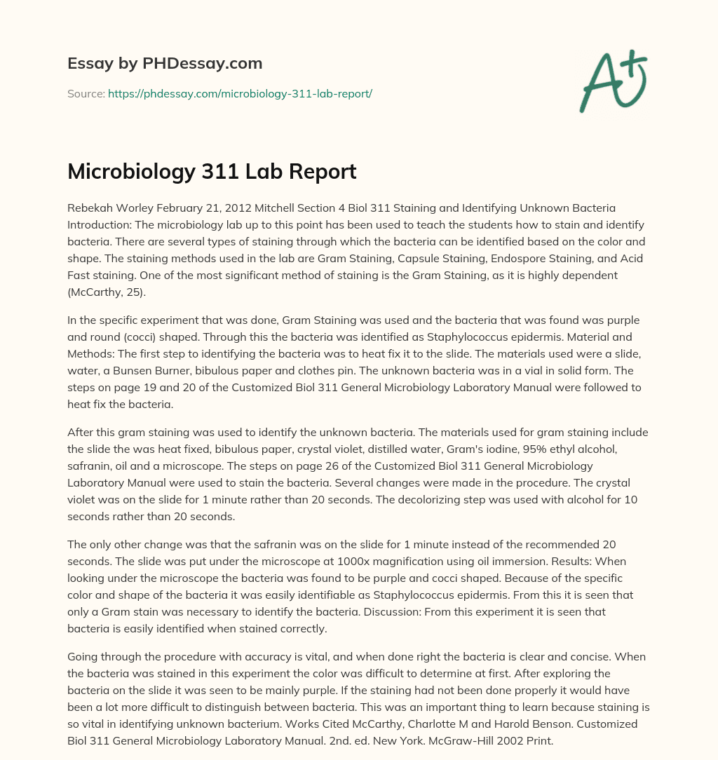 Microbiology 311 Lab Report essay