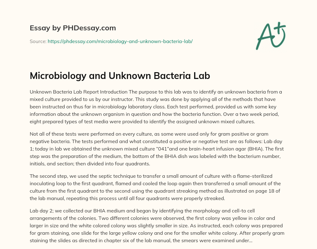 Microbiology and Unknown Bacteria Lab (300 Words)