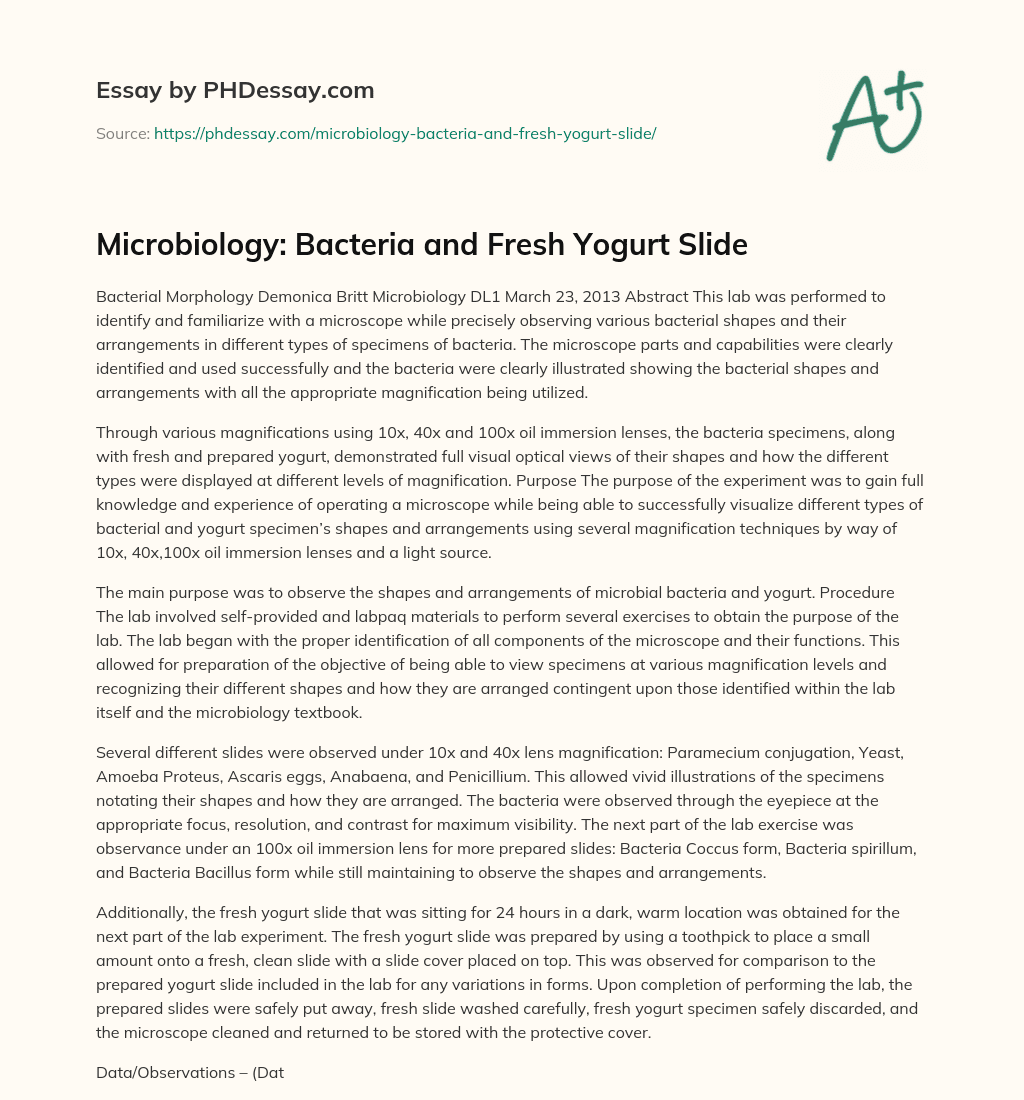 Microbiology: Bacteria and Fresh Yogurt Slide essay